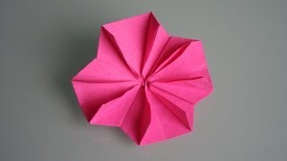 Origami Kirschblüte cherry blossom  Sakura [upl. by Lorianne]