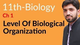 FSc Biology Book 1 Chapter 1  Level of Biological Organization  11th Class Biology chapter 1 [upl. by Beitnes]