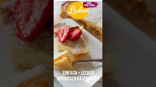 Aprikosen Käsekuchen  so lecker und so einfach  tolles Sommerkuchen Rezept [upl. by Hatcher]