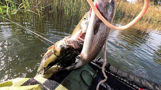 Stocked Trout Fishing at Camanche Lake [upl. by Nivk]