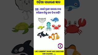 Odia Gk Question 📚🎯Odia Quiz Question🔥 gk odiagkonline shorts [upl. by Sonstrom]