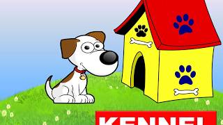 Animals Homes Names Types  Lesson for Kids KindergartenPreschoolersGrade 1 [upl. by Aznerol]