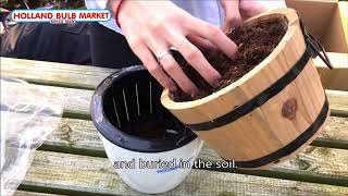 Planting Chionodoxa forbesii on the Lazy pot [upl. by Kolk]