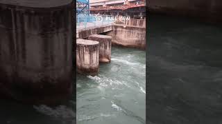 om pull view  vlog in haridwar om pull  ganga nadi view [upl. by Llehsyar]