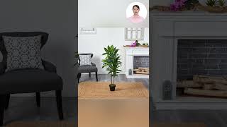 Artificial plants for home decor Home Decor Deals shortsvideo ytshorts viralvideo amazondeals [upl. by Fatima]