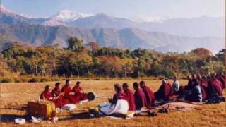 Tibetan Monks Chanting  Temple Ceremony Drukpa Kagyu [upl. by Adams797]