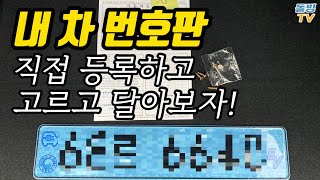 신차 번호판 직접 등록하는 방법과 골드번호 받기 돌빙TV [upl. by Aina]