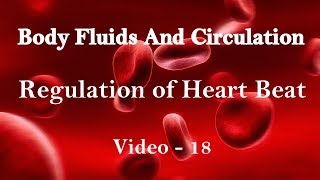 Body fluids and circulation  Regulation of Heart Beat [upl. by Floris657]