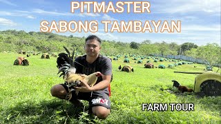 PITMASTER SABONG TAMBAYAN FARM TOUR [upl. by Annodal]