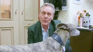 A personal message from Anthony Head about greyhounds amp lurchers [upl. by Htial]