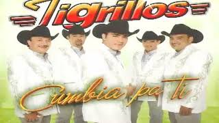 TIGRILLOS MIX 2 CUMBIAS [upl. by Boorer]