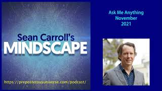 Mindscape AMA Sean Carroll  November 2021 [upl. by Ursas]