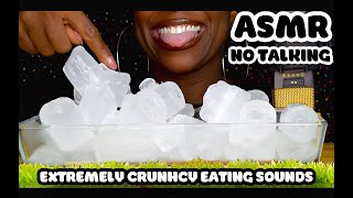 SLIGHTLY MELTED Lemon Flavored ICE Eating ASMR No Talking [upl. by Atiluap589]