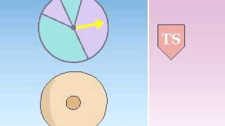 Oncogenes vs Tumorsuppressor genes difference between oncogenes and antioncogenes [upl. by Bekah]