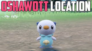 How to Catch Oshawott  Pokémon Scarlet amp Violet DLC [upl. by Genesa]