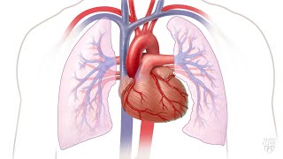 Mayo Clinic Minute Managing atrial fibrillation [upl. by Otrevogir658]