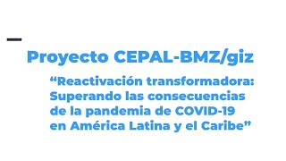 Video proyecto CEPALBMZgiz “Reactivación transformadora superando consecuencias de la pandemia” [upl. by Dorisa]