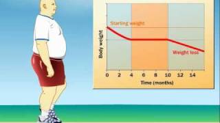 How Does Exercise Impact Weight Loss [upl. by Notlew418]