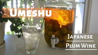 How to make ★Umeshu★Japanese Plum wine〜梅酒〜EP106 [upl. by Ybbor]