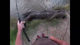 yellow belly catfish and carp bait fishing the wimmera river [upl. by Schecter277]