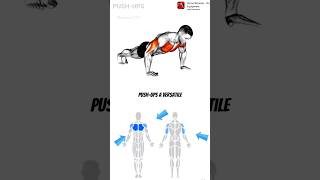 PUSH  UP fitness workout fullbodyworkout homeworkout execrise chest gym pushups [upl. by Jermaine]