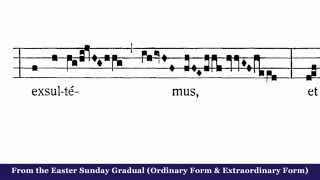 Cantus Gregorianus  Example from the Easter Sunday Gradual [upl. by Gennifer51]