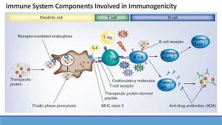 Model Informed Drug Development Approaches for Immunogenicity Assessments Workshop [upl. by Haisi837]