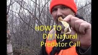 How to DIY Natural Predator Call [upl. by Llenhoj926]