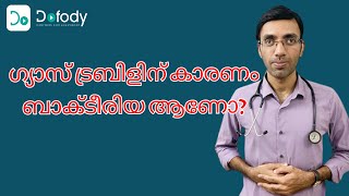 എച്ച് പൈലോറി എന്താണ് 🔬 Dont Wait for the Symptoms to Do the H pylori Tests 🩺 Malayalam [upl. by Amorita]