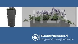 Regenton Itza 300 liter met plantzone  Kunststof regentonnl [upl. by Lovmilla]