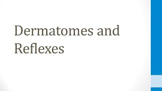 CNS 15 Dermatomes and Reflexes [upl. by Idnor]