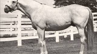 25 Greatest American Race Horses [upl. by Rehpotsyrhc614]