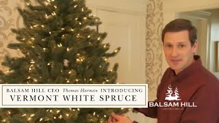 Balsam Hill CEO Thomas Harman introducing Vermont White Spruce [upl. by Lawton]