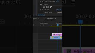 Premiere Pro Bu Efekti Mutlaka Kullan Flash Efekti edit premierepro adobe [upl. by Etheline]