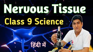 Animal Tissue  Nervous Tissue  Structure  Function  Class 9  Tissue  Hindi Explanation [upl. by Radbourne250]