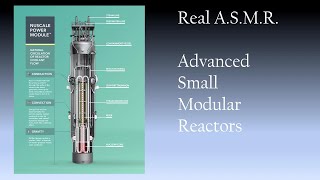 Real ASMR  Advanced Small Modular Reactors [upl. by Nnyletak]