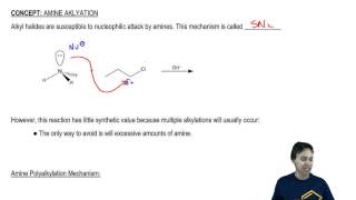 Amine Alkylation General Reaction [upl. by Appel908]