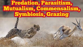 Predation Parasitism Symbiosis Mutualism Commensalism and Grazing  Biology 12th  Chap 25 [upl. by Nnaeiram]