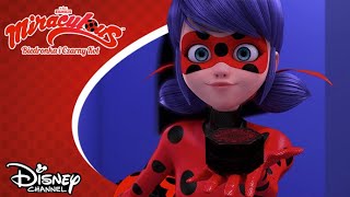 🐞 Miraculum Konia  Miraculous Biedronka i Czarny Kot  Disney Channel Polska [upl. by Everest175]