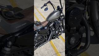 Harley Davidson Iron 883 Walk Around [upl. by Niltiac]