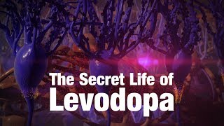 The Secret Life of Levodopa [upl. by Flavius]