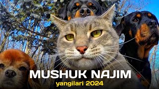 NAJIM MUSHUK DAN YANGI PRIKOLLAR 2024 [upl. by Romine510]