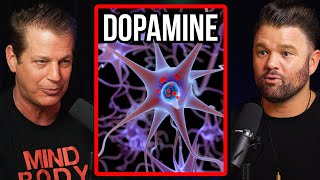 Nootropic Expert Controlling Dopamine SPIKES Will Change Your Life [upl. by O'Donoghue75]