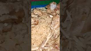 Camping night tarishing valley  mutton rosh pulao camping food [upl. by Nordine]