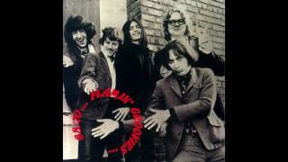 The Flamin Groovies  Louie Louie [upl. by Anallese]