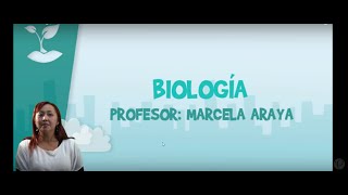 Biología  Clase Nº7  Enzimas y metabolismo celular [upl. by Elleina84]