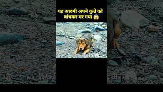 एक आदमी ने इस कुत्ते को हमेशा के लिए बांध दिया 😥  shorts dog [upl. by Haimaj666]