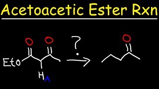 Acetoacetic Ester Synthesis Reaction Mechanism [upl. by Xavler]