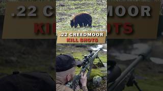 22 CREEDMOOR KILL SHOTS [upl. by Ydolem]