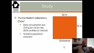 Methods to determine the population of Norway Rats Rattus norvegicus and brown rats [upl. by Morrell976]